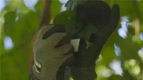 唯獨這些抓人眼球的戶外廣告才配叫創(chuàng)意！標識主也滿意10