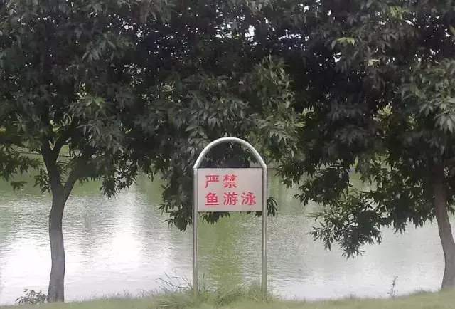 這一些沙雕標牌廣告標語，讓我站路邊笑了半天停不下來23