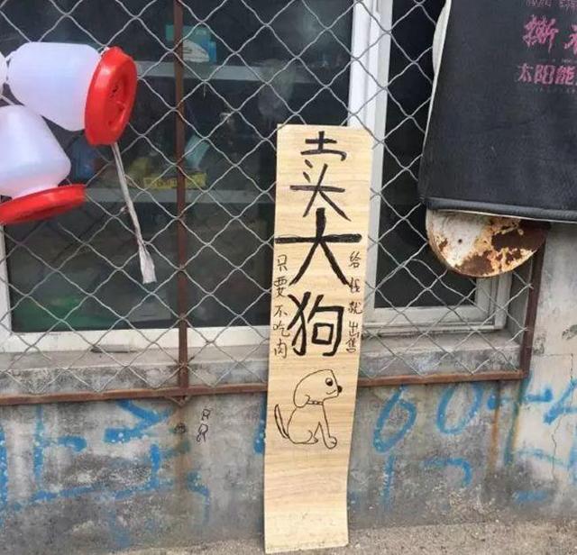 中國(guó)街頭雙面字廣告牌有多野？看看這一些讓人笑掉大牙的牌子名20