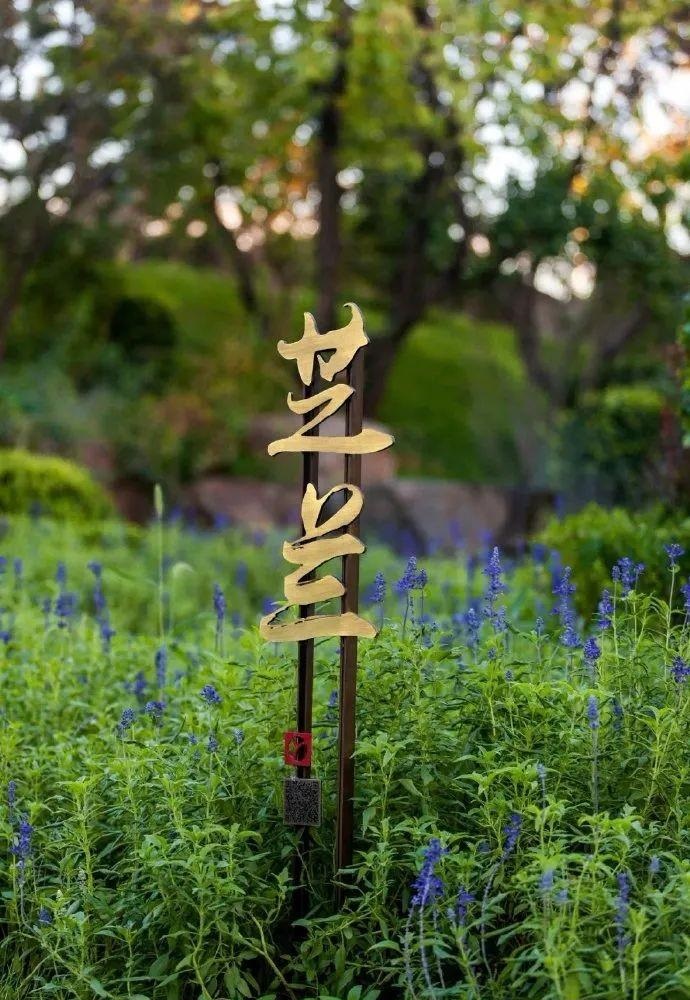 中國(guó)風(fēng)標(biāo)識(shí)標(biāo)牌案例分享，美15